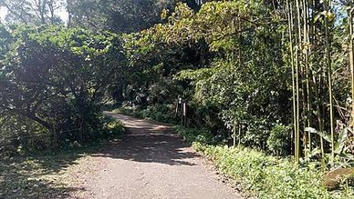 [桃園旅遊]登石門山看石門水庫賞楓葉之美，從台灣小百岳、在順