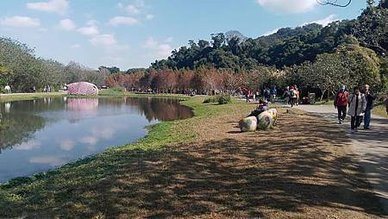 [桃園旅遊]集合濕地、楓紅、落羽松水中倒影、裝置藝術品的的旅