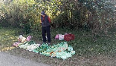 [桃園旅遊]集合濕地、楓紅、落羽松水中倒影、裝置藝術品的的旅