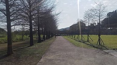 [新北旅遊]冬天賞落羽松、夏天看紫薇花，貢寮區環保公園帶你深