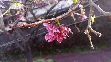 [新北旅遊]完工四十年無極元天宮，歷代元首參訪過無極真元天壇