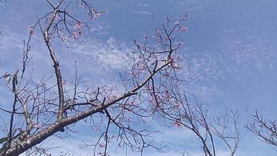 [新北旅遊]視野多變化三生步道，三芝區四季皆美、熱門超級人氣