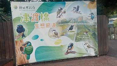 [新北旅遊]橫跨湳仔溝的津渡橋，百年以來城市地點變化，兼具生