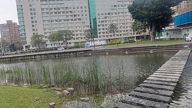 [新北旅遊]板橋區遠東通訊園區內生態南公園，給人寧靜、生態豐