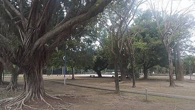 [新北旅遊]面積廣大浮洲運動公園，好好打發時間的地方，草地地