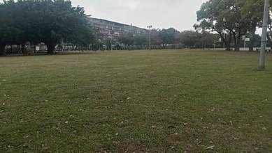 [新北旅遊]面積廣大浮洲運動公園，好好打發時間的地方，草地地