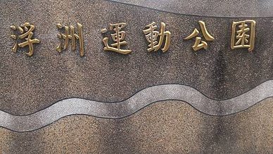 [新北旅遊]面積廣大浮洲運動公園，好好打發時間的地方，草地地