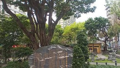 [新北旅遊]接雲寺附屬公園柏壽公園，這裡是南雅夜市商圈重要夜