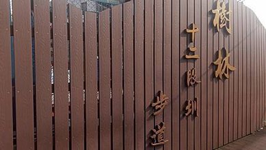 [新北旅遊]樹林區十二股圳步道，穿縮民宅與小巷弄中蜿蜒步道、