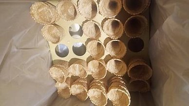 [新竹美食]巴豆夭百元鍋物，三大類菜單、親民價格、高CP值，