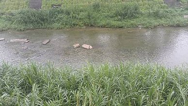 [新竹旅遊]天公壇公園隸屬於新竹天公壇所興建，打造亞洲最高九
