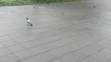 [新竹旅遊]天公壇公園隸屬於新竹天公壇所興建，打造亞洲最高九