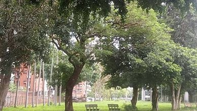 [新竹旅遊]新竹人辦活動的首選場地北大公園，綠色草皮為地形、