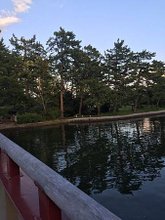 IMG_1991.JPG