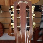 LeolaniGuitalele (4).jpg