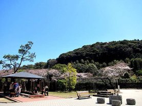 IMG_0069