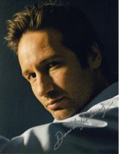 David Duchovny.jpg