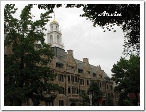 IMG_4040_1