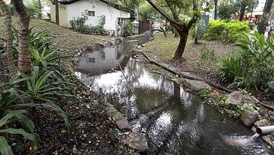 [宜蘭旅遊]燒水溝名號的湯圍溝公園、以大量的綠樹和溫泉為主的