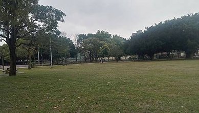 [新北旅遊]面積廣大浮洲運動公園，好好打發時間的地方，草地地