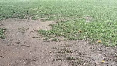 [新竹旅遊]新竹人辦活動的首選場地北大公園，綠色草皮為地形、