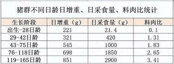 養豬吃粗糠?米糠?(粗糠-米糠糙米-白米)「甚耐粗食，且繁殖