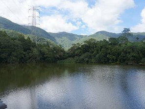 103.8.29草湳湖步道11.jpg