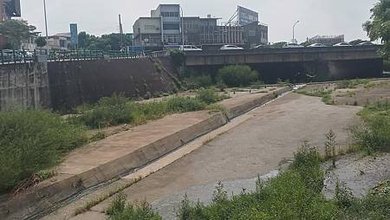 [新竹旅遊]北勢溪川流而過公兒五公園，高架木棧道越公園、引起