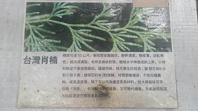 [新竹旅遊]城市知名旅遊地點的高峰植物園，有三百多種植物種類