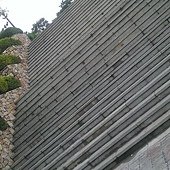 IMAG1346.jpg