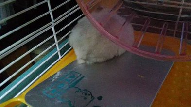 P_20170513_180659.jpg