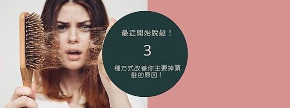 掉頭髮的原因 脫髮 掉髮 改善落髮 落髮