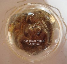 DSC08345A.JPG