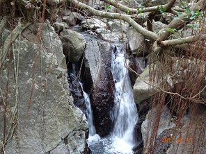 170211-里龍山-黑妞_170213_0023.jpg