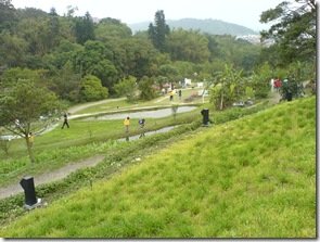 DSC00334