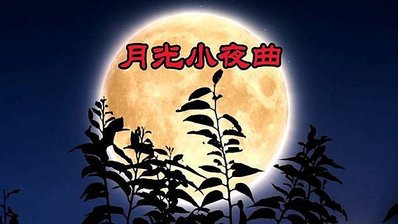 月光小夜曲  感性好聽  我唱