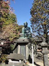 DSC08853.jpg
