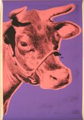 Cowsingle.jpg