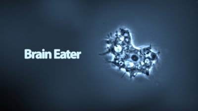 巴基斯坦出現專吃大腦寄生蟲(brain-eating amoeba) -
                大腦寄生蟲