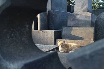 IMG_2152