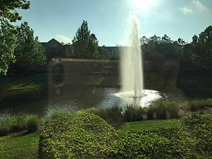 IMG_1727.JPG