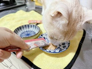 LINE_ALBUM_寵心出發_240330_2