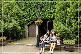 最近的十一個禮拜1.jpg