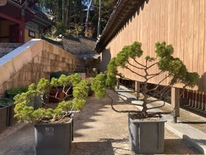 2023 釜山一週短期遊學 Day 8 山海日