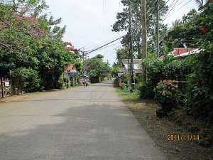IMG_0267.JPG