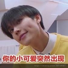 偶練 偶像練習生 NINE PERCENT 百分九少年 林彥俊 冷彥俊 小橘 8哥 制霸 表情包