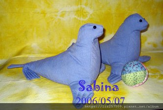 seal-04.jpg