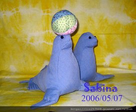 seal-05.jpg