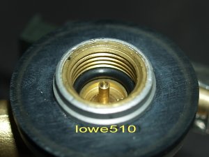 ARC2119_10.jpg