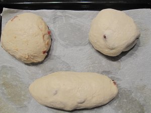 20100618 010.jpg